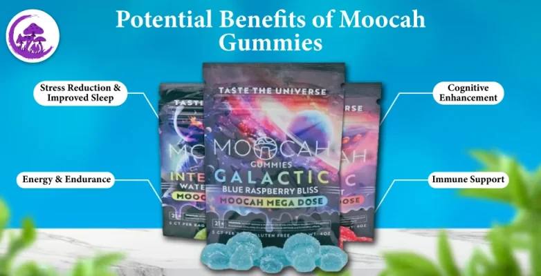 moocah gummies , moocah mushroom gummies , moocah mushroom vape , moocah vape , moocah mega dose , moocha gummies , moocah mushrooms , moocah , moocah mushroom chocolate bar review , moocah gummies effects , moocah chocolate bar , moocah chocolate bar review , moocah gummies lab results , moocah chocolate bar , moocah mushroom , moocah world , moocah mega dose review , moocah mushroom chocolate bar review , moocah mushroom chocolate bar review , moocah gummies effects , moocah gummies ingredients , moocah mushroom vape , moocah magic , mocha shroom vape , moocah gummies reddit ,